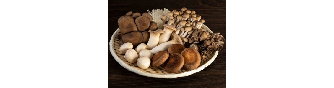 Mushrooms image
